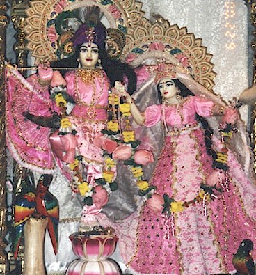 Sri Sri Radha Natabara in pink