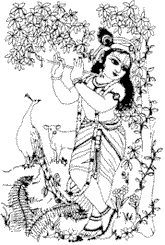 Lord Krishna